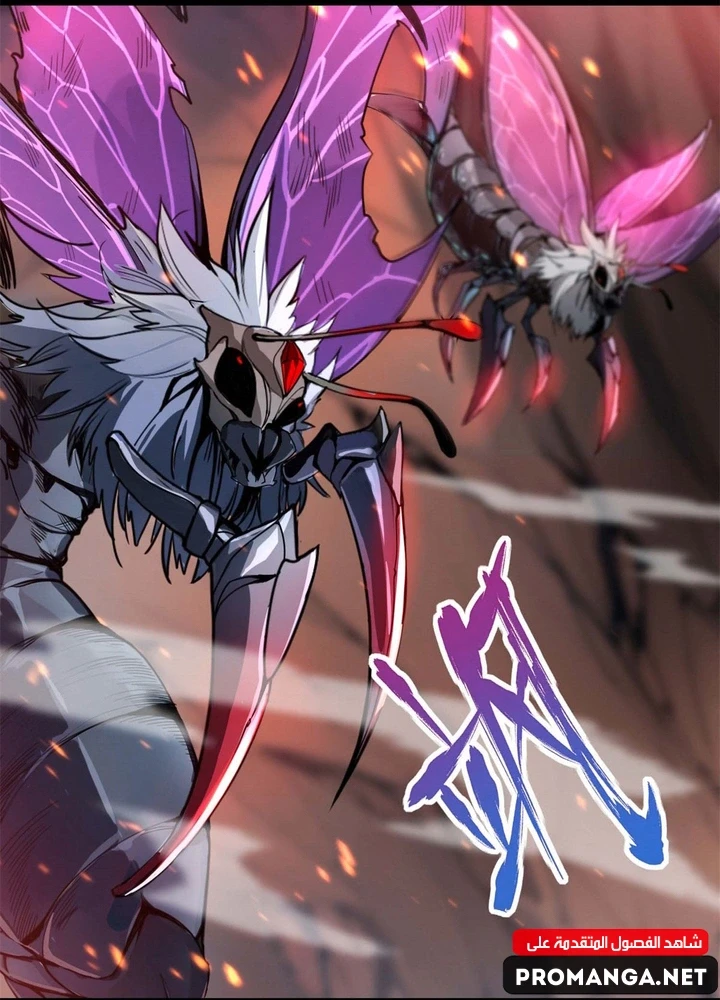 Chapter Image 11