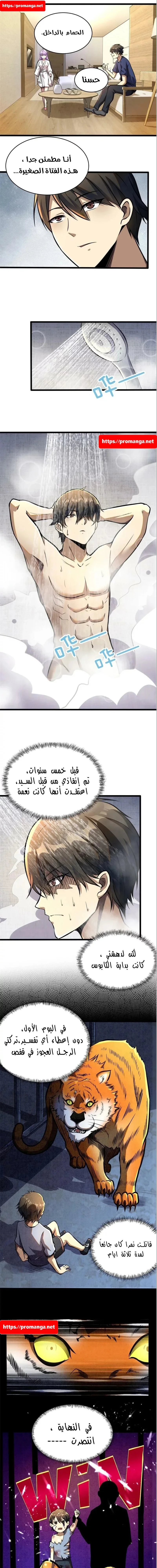 Chapter Image 5