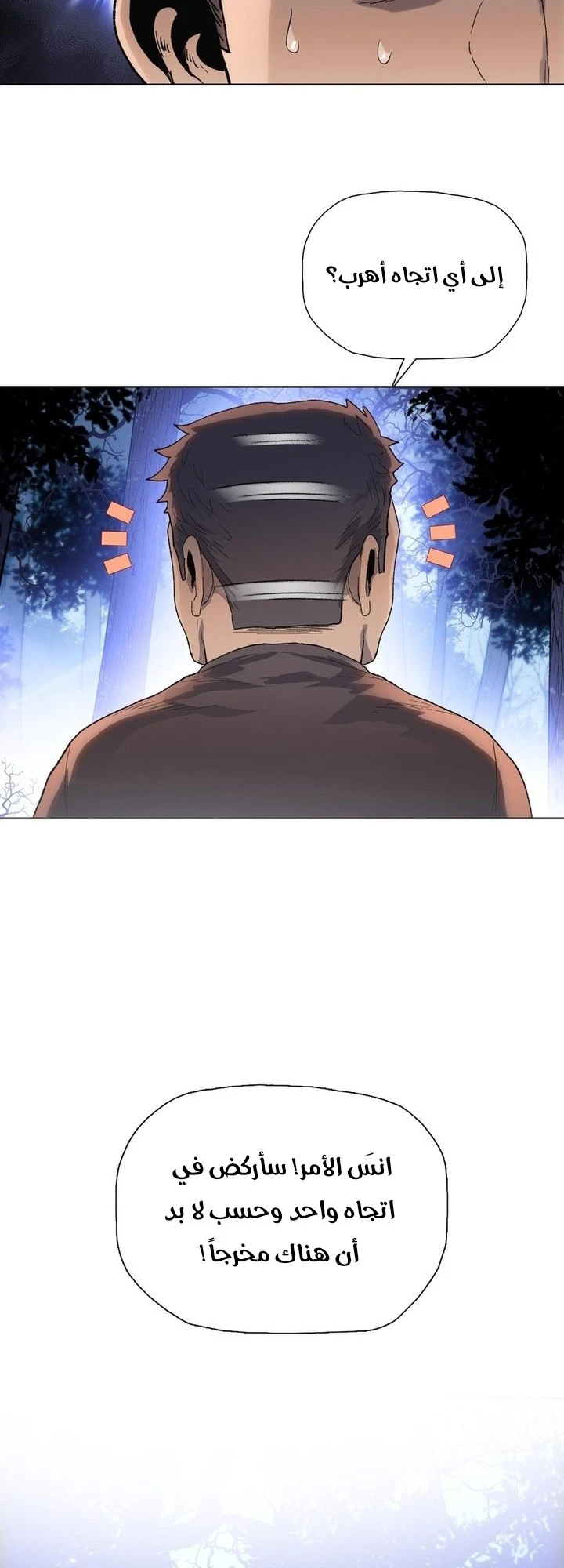 Chapter Image 3