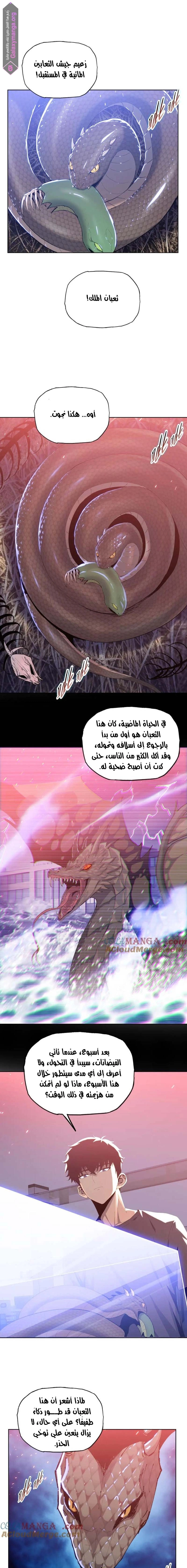 Chapter Image 9