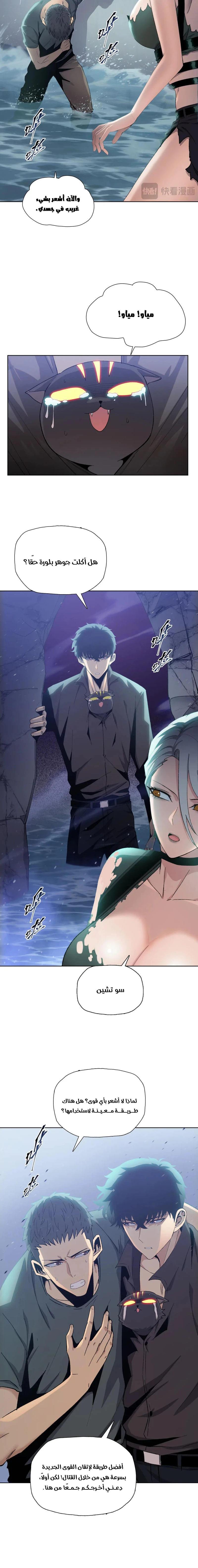 Chapter Image 2