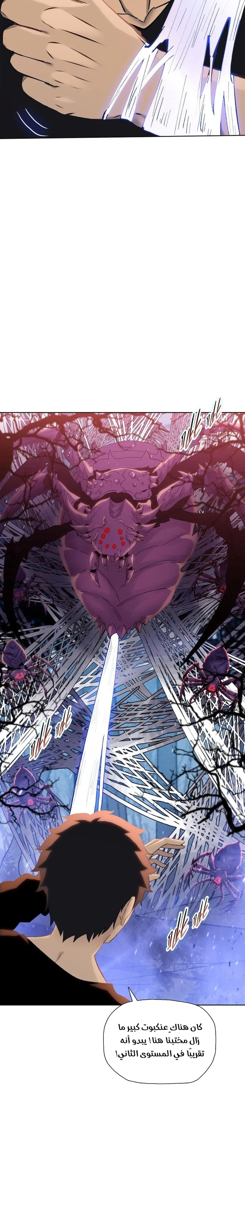 Chapter Image 12