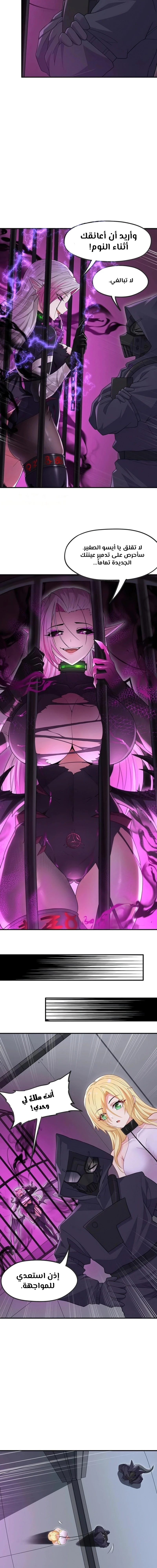Chapter Image 5