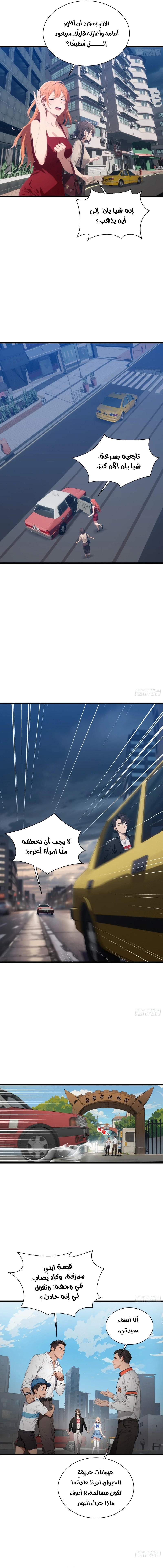 Chapter Image 8
