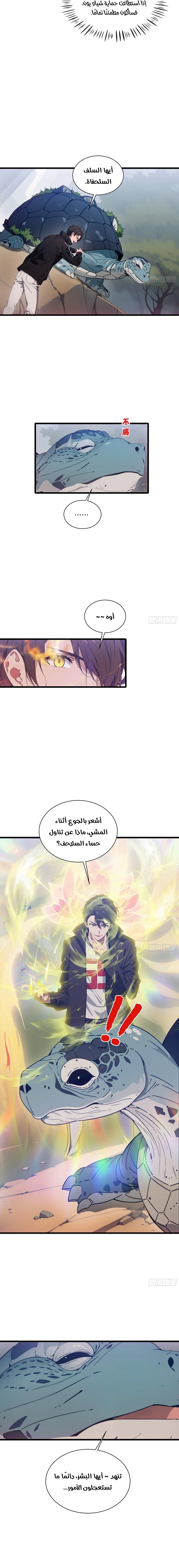 Chapter Image 4