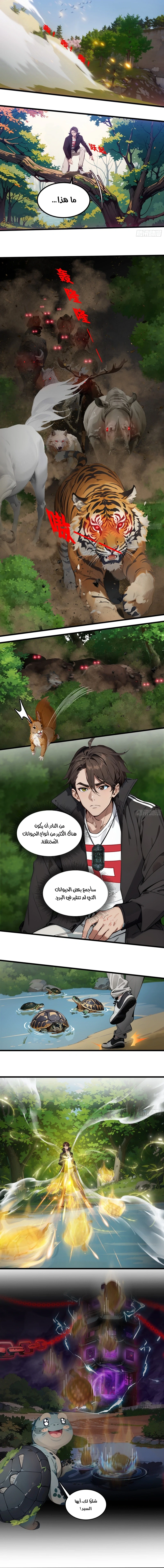 Chapter Image 4
