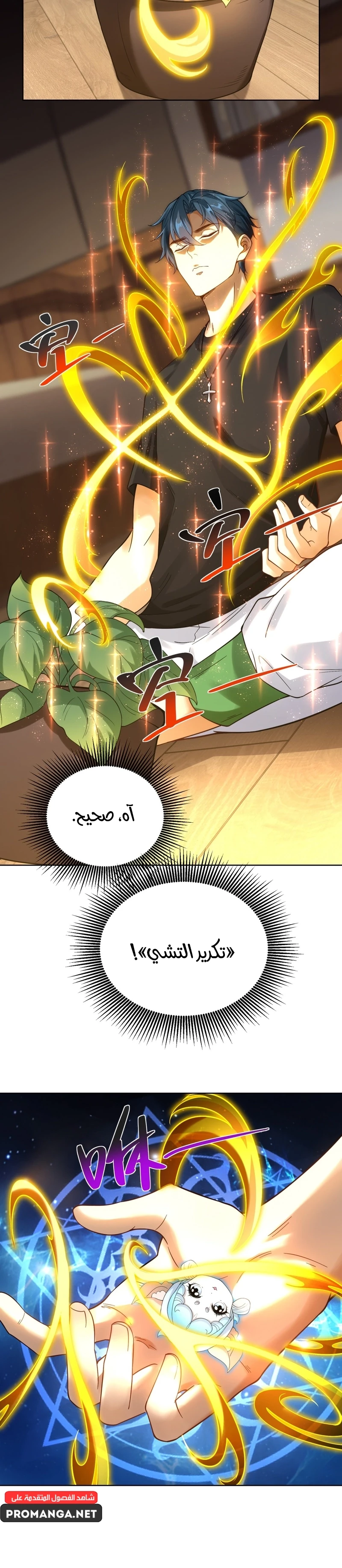 Chapter Image 12