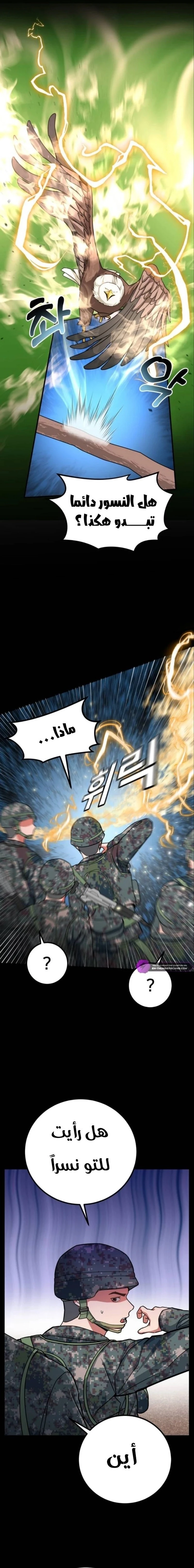 Chapter Image 3