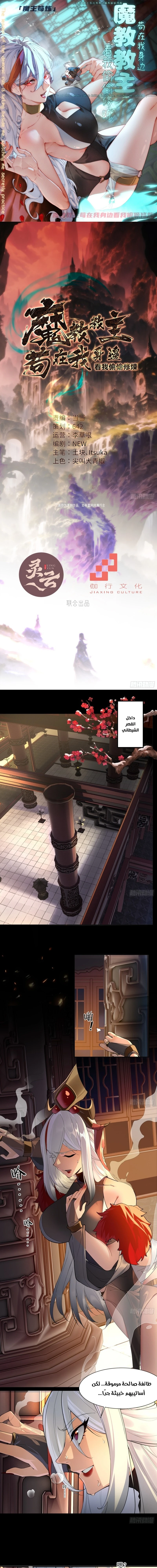 Chapter Image 1