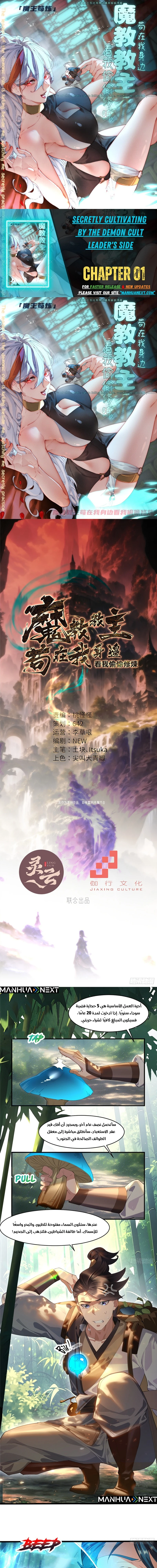 Chapter Image 1