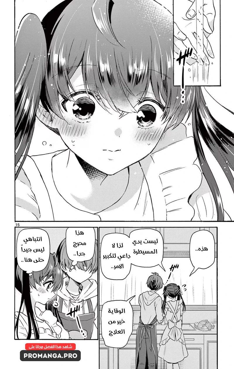 Chapter Image 18