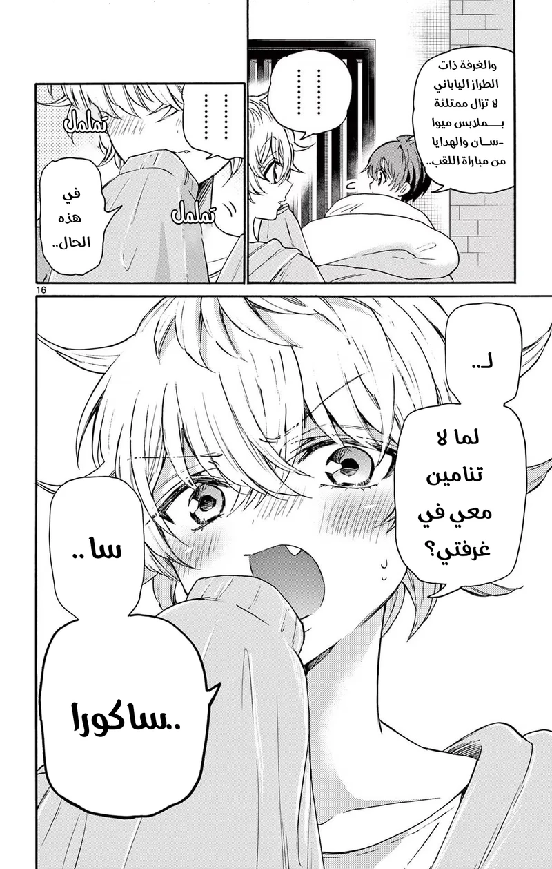 Chapter Image 17