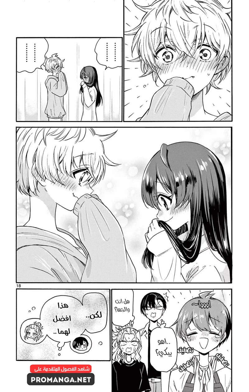 Chapter Image 19