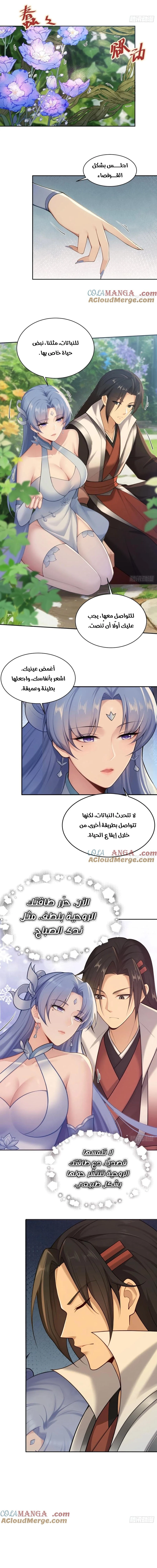 Chapter Image 4