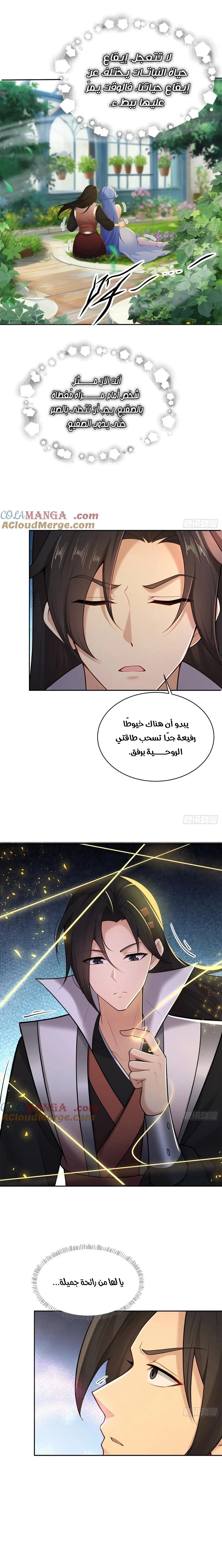 Chapter Image 5