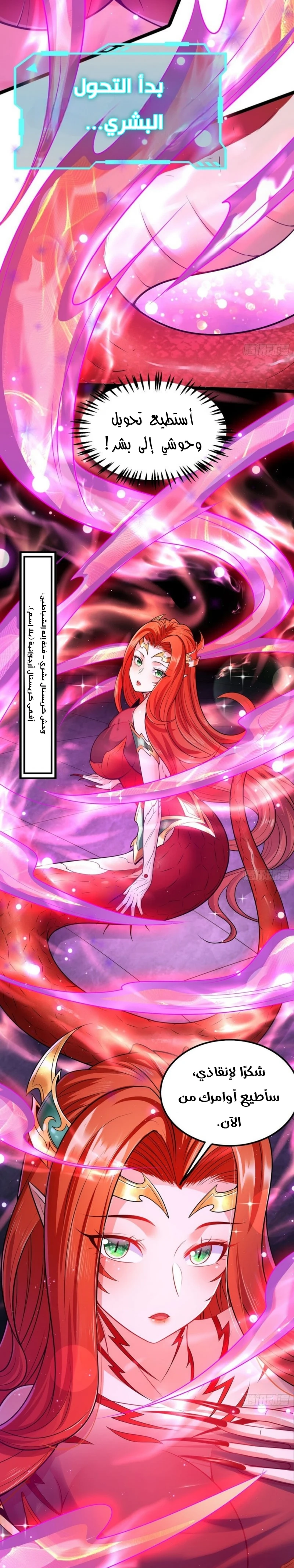 Chapter Image 20