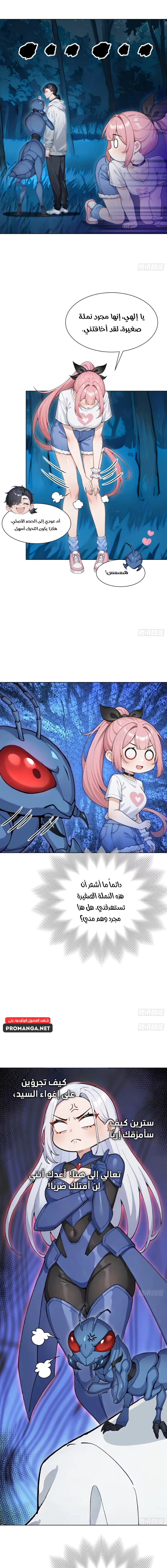 Chapter Image 5