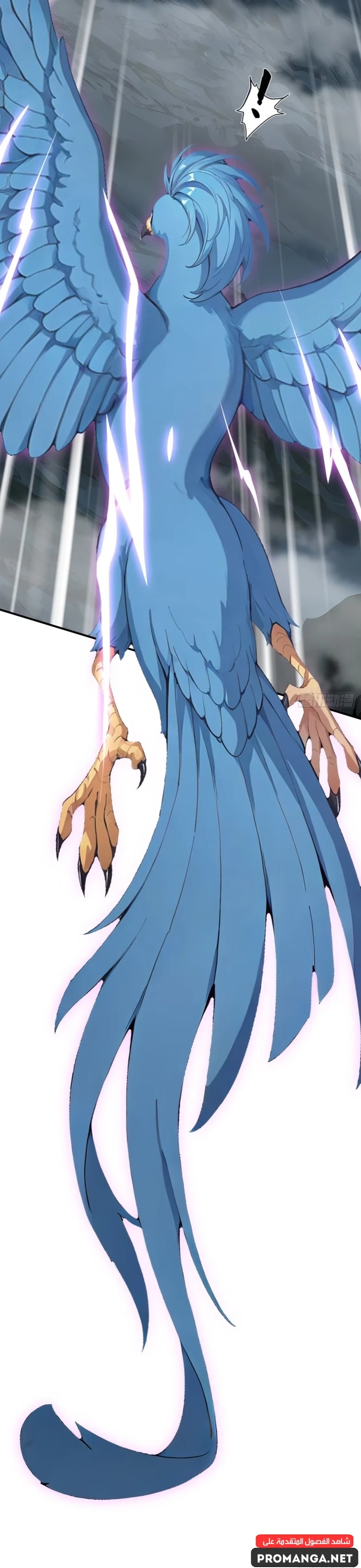 Chapter Image 12
