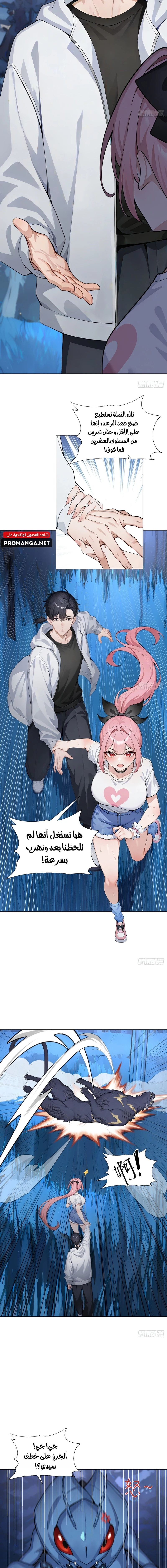 Chapter Image 4