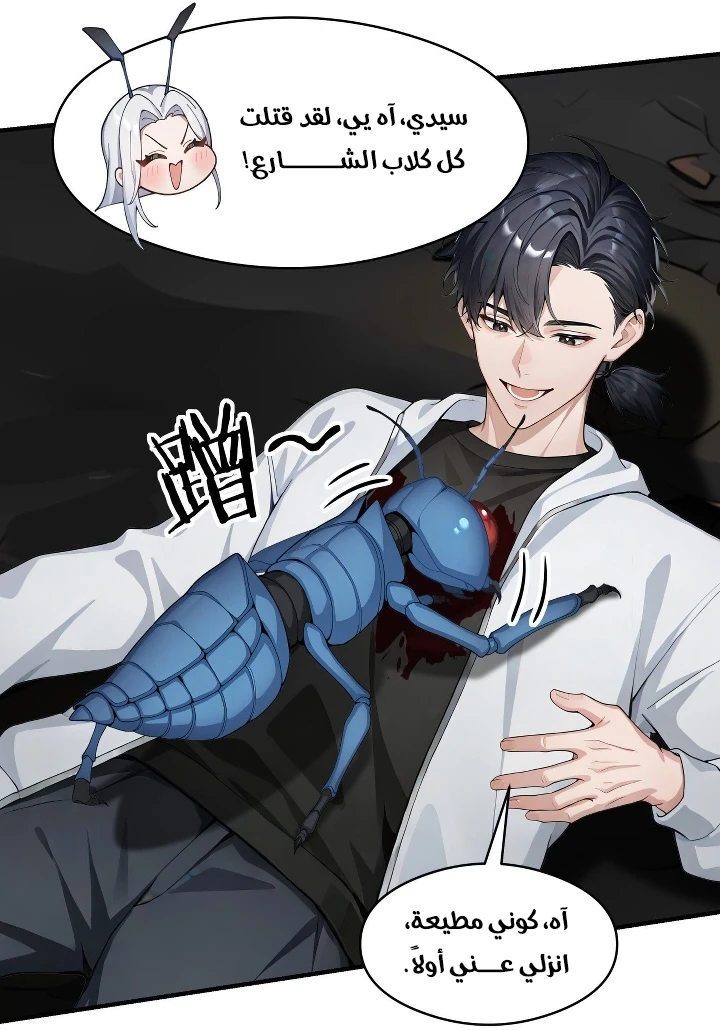 Chapter Image 3