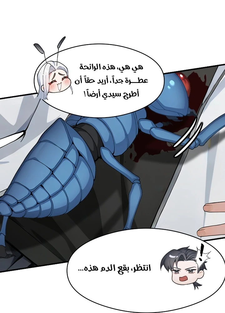 Chapter Image 4