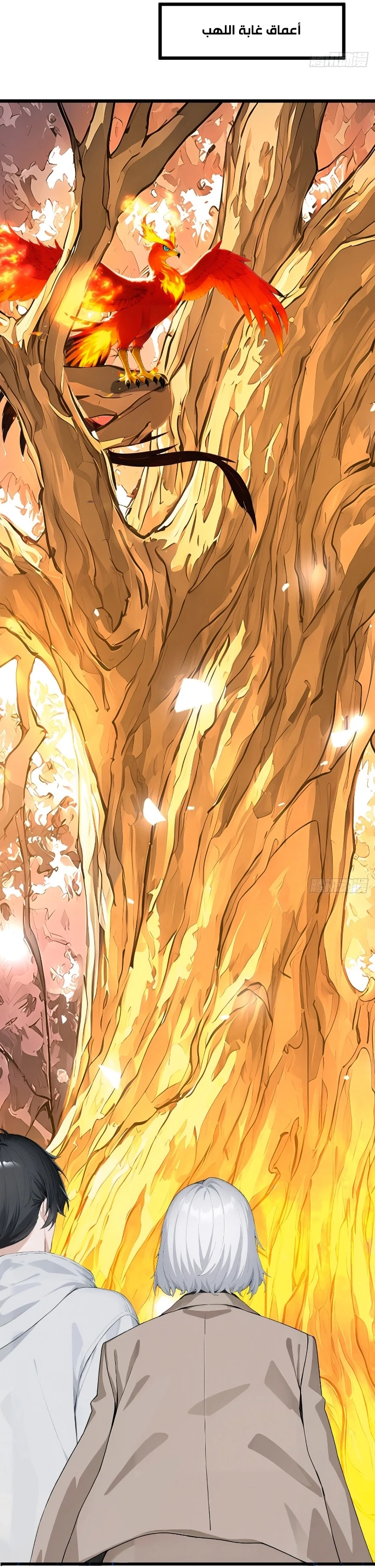 Chapter Image 60