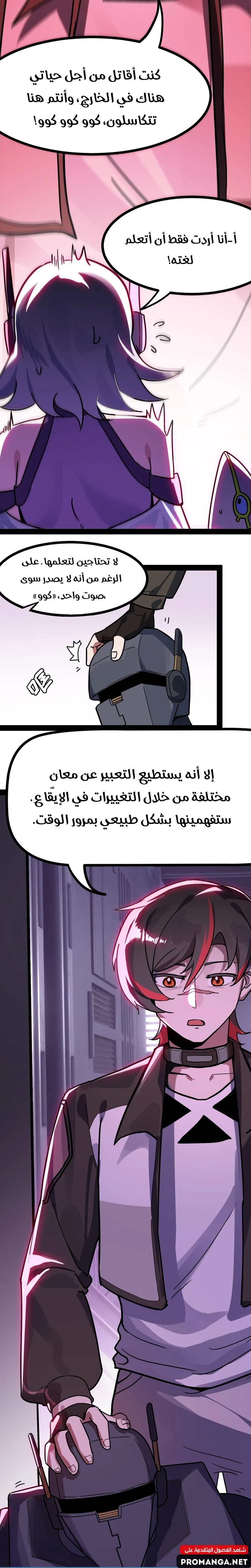 Chapter Image 7