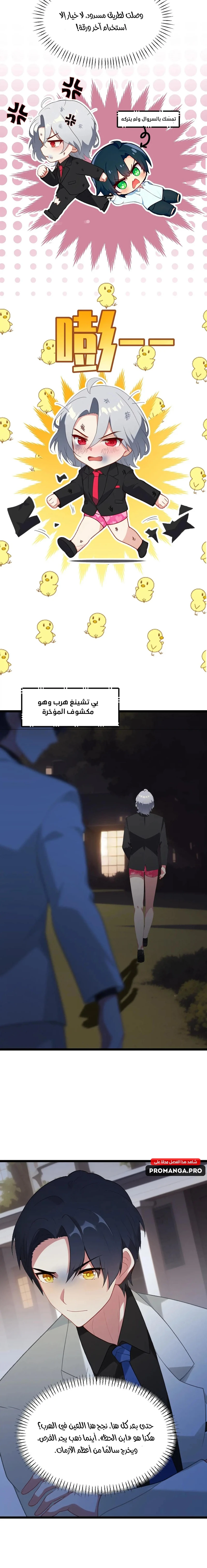 Chapter Image 4