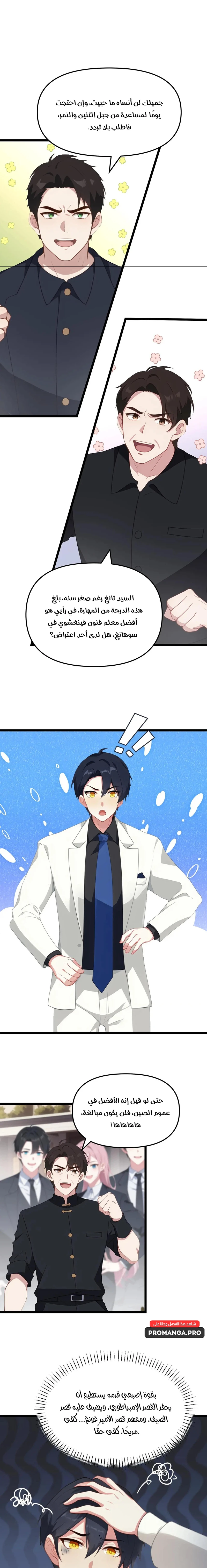Chapter Image 5