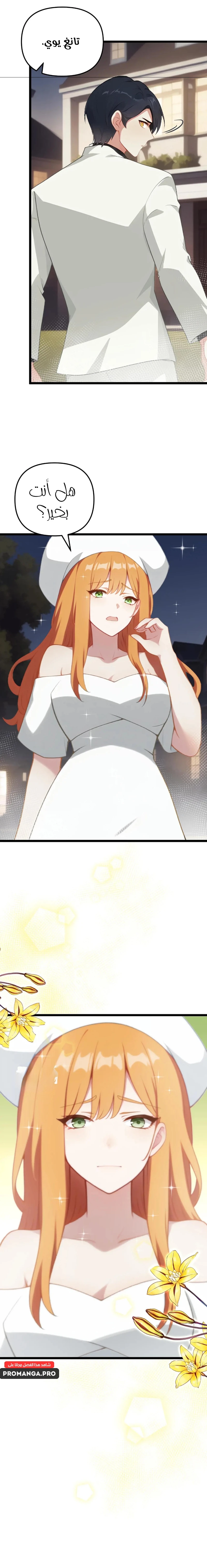 Chapter Image 7