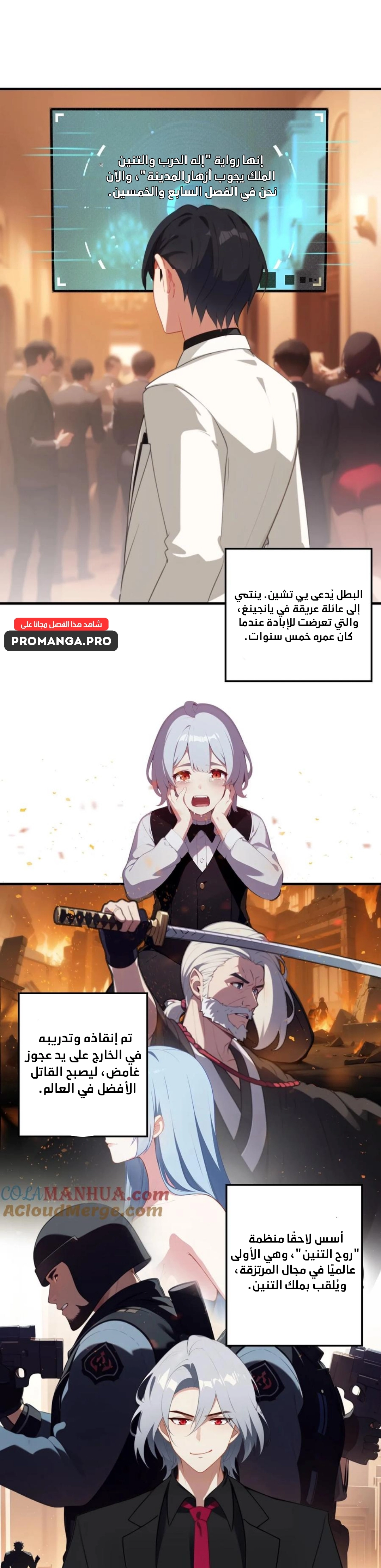 Chapter Image 4