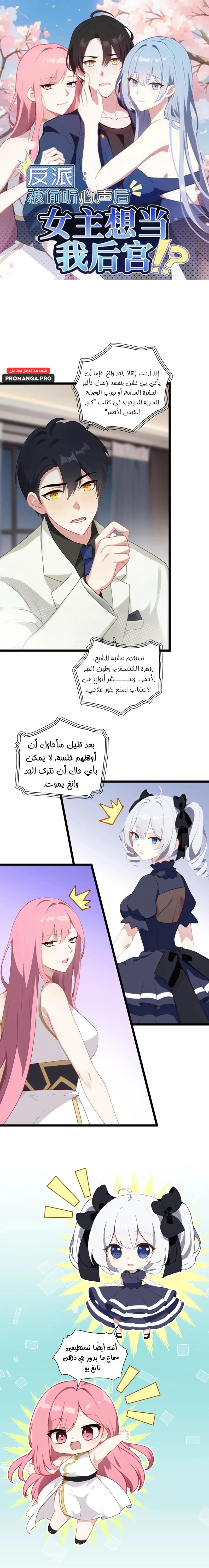 Chapter Image 1