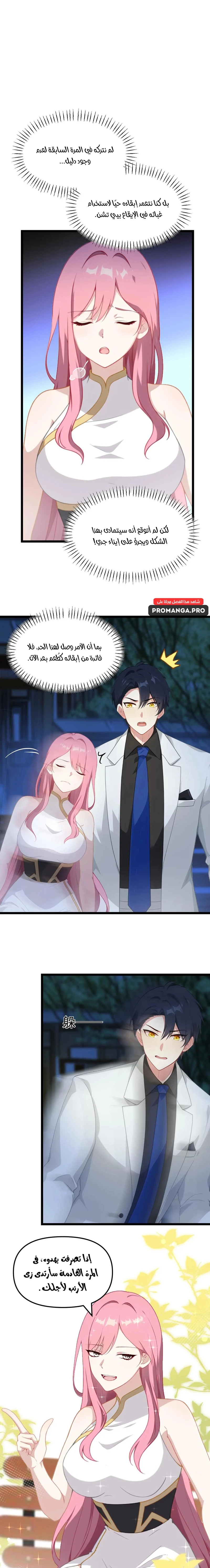 Chapter Image 5