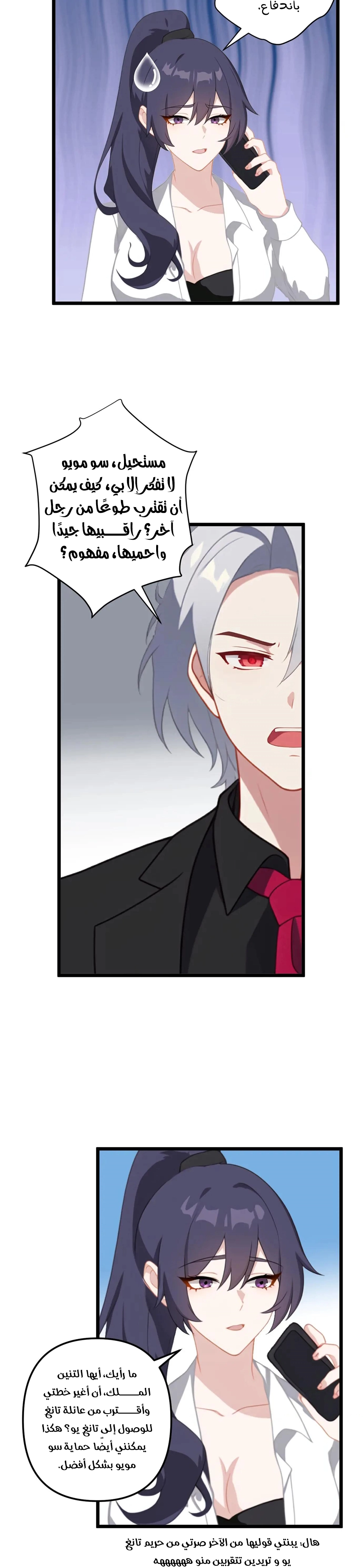 Chapter Image 7
