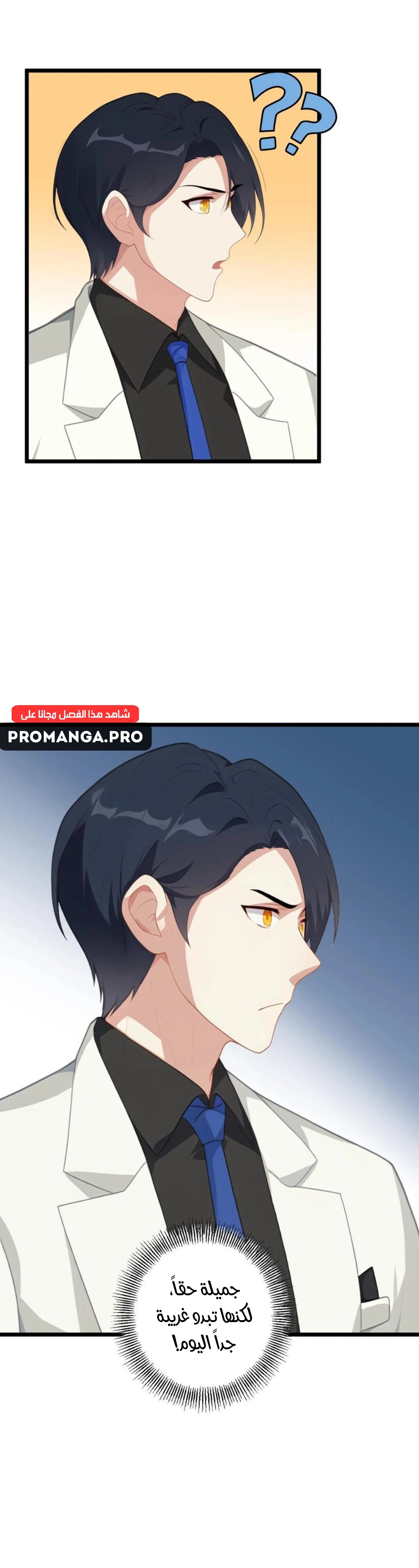 Chapter Image 10