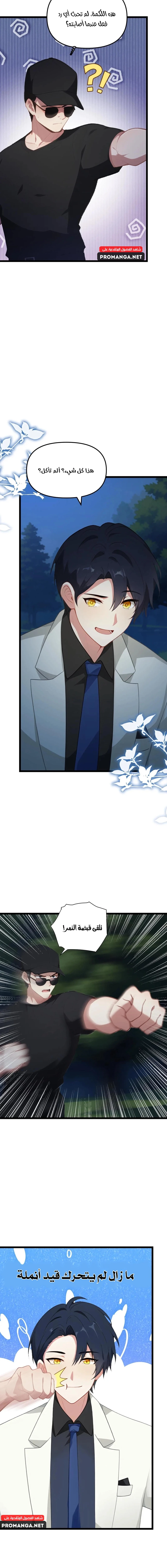 Chapter Image 4