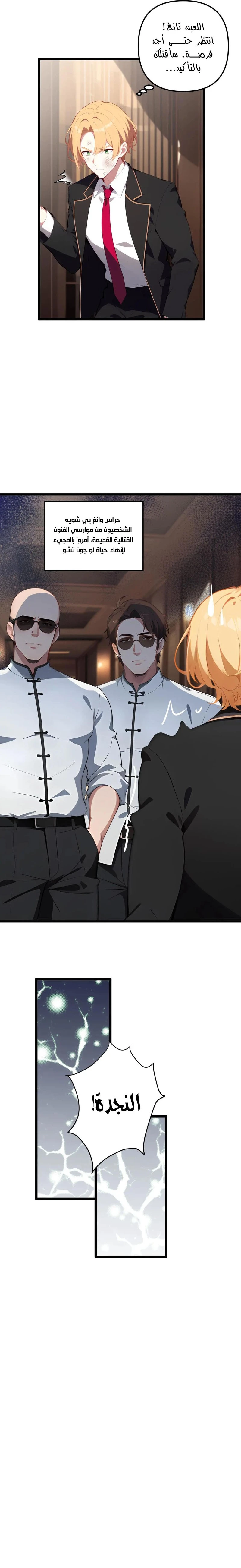 Chapter Image 5