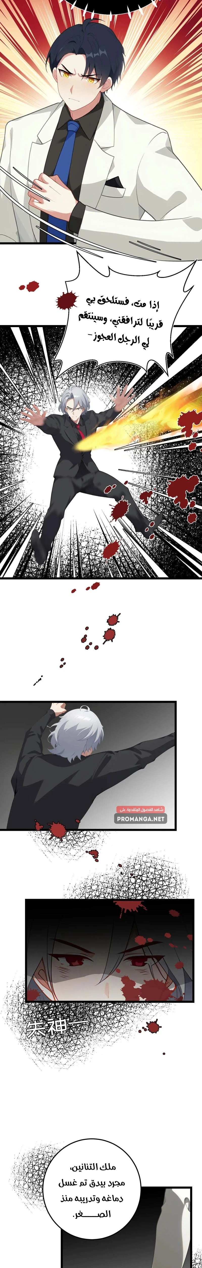 Chapter Image 5