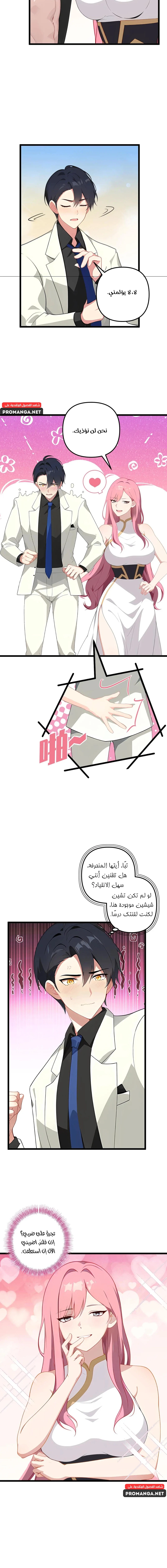 Chapter Image 4
