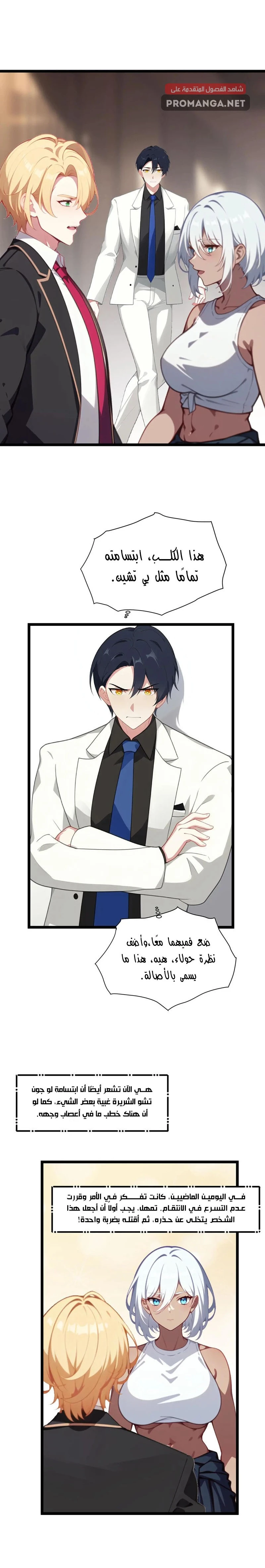 Chapter Image 4