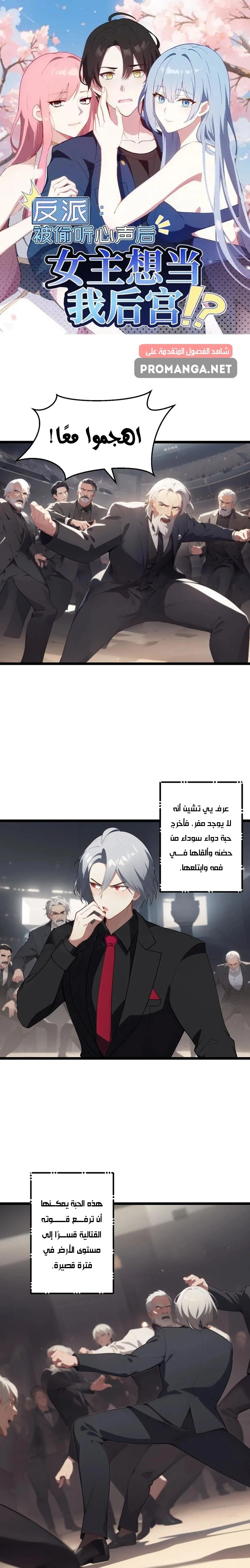 Chapter Image 1