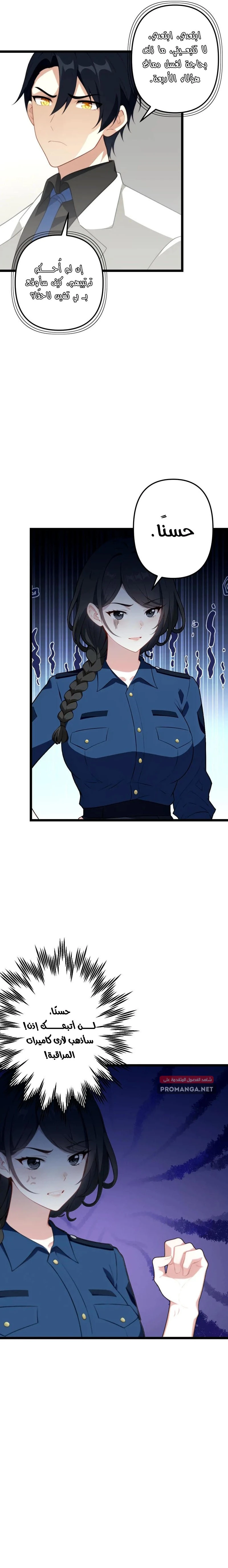 Chapter Image 4