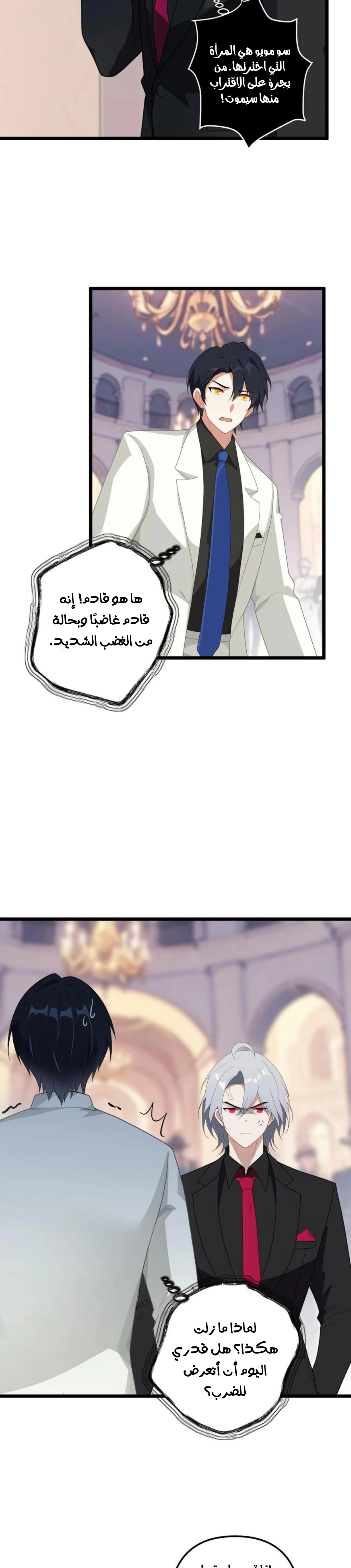 Chapter Image 4