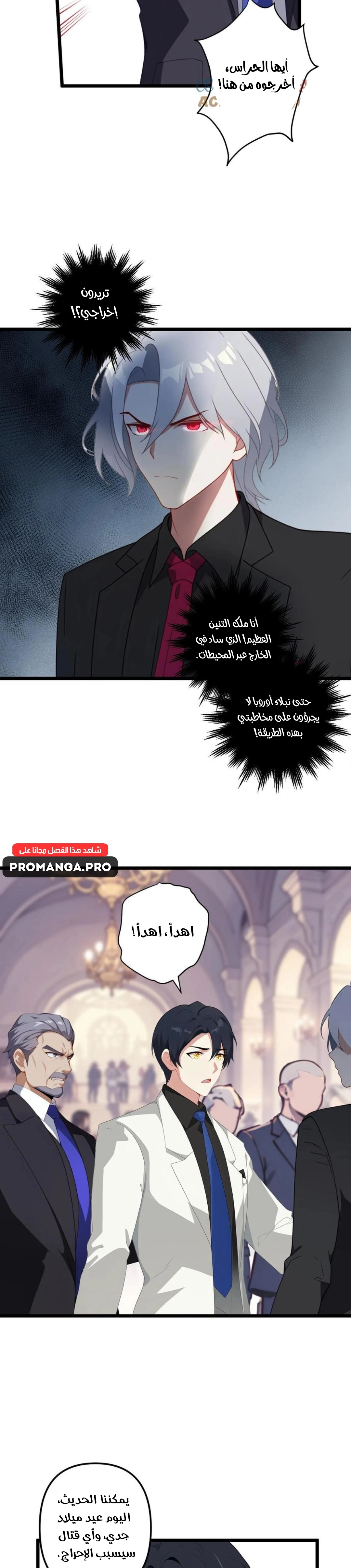 Chapter Image 6