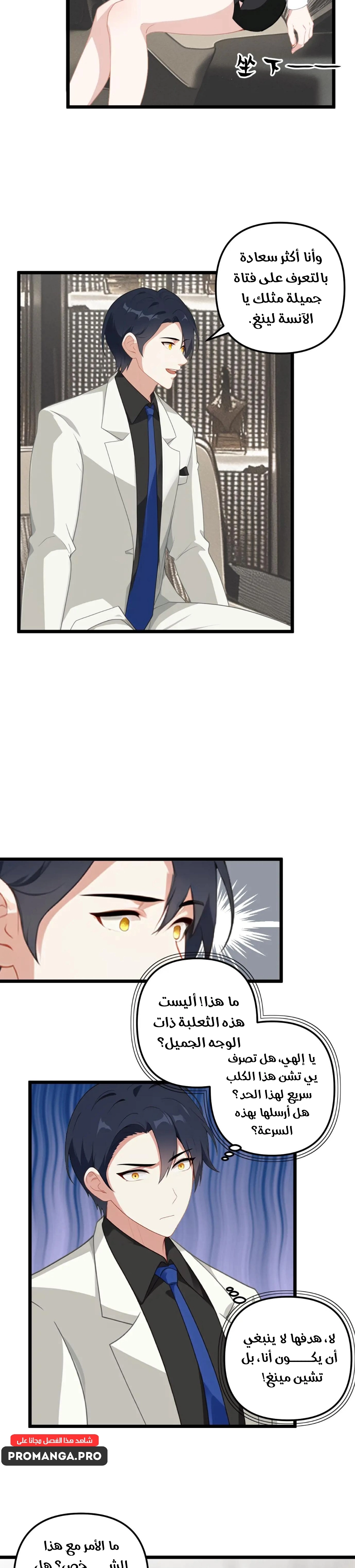 Chapter Image 2