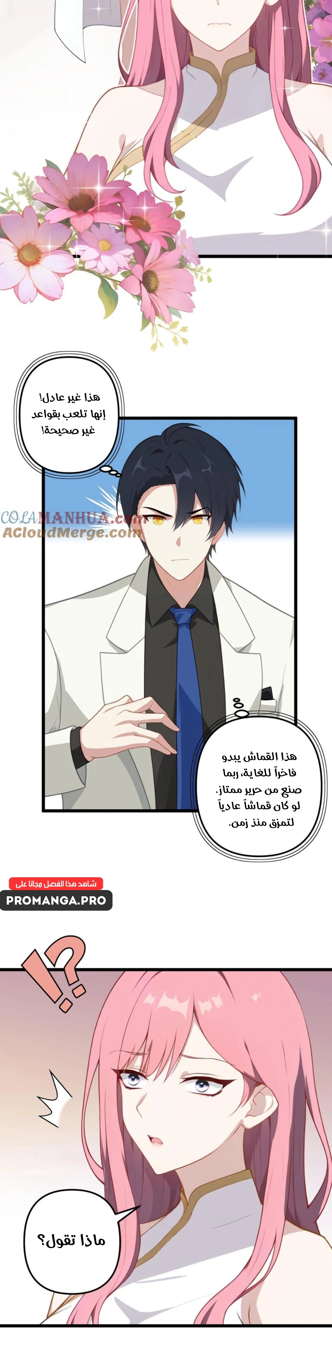 Chapter Image 7