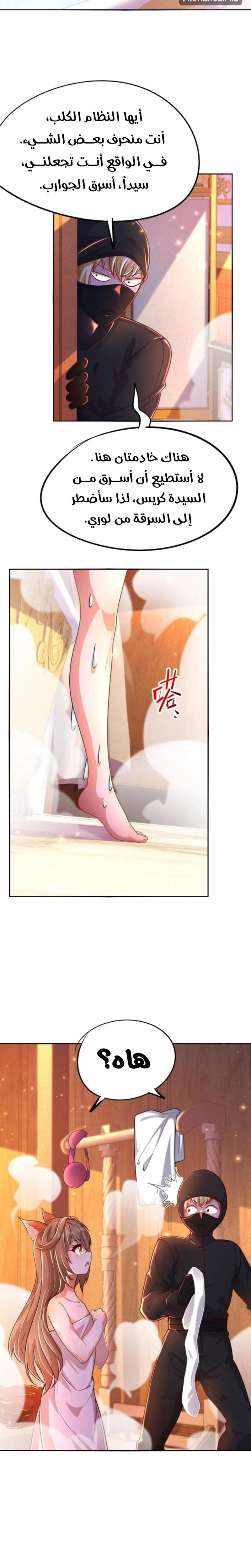 Chapter Image 4