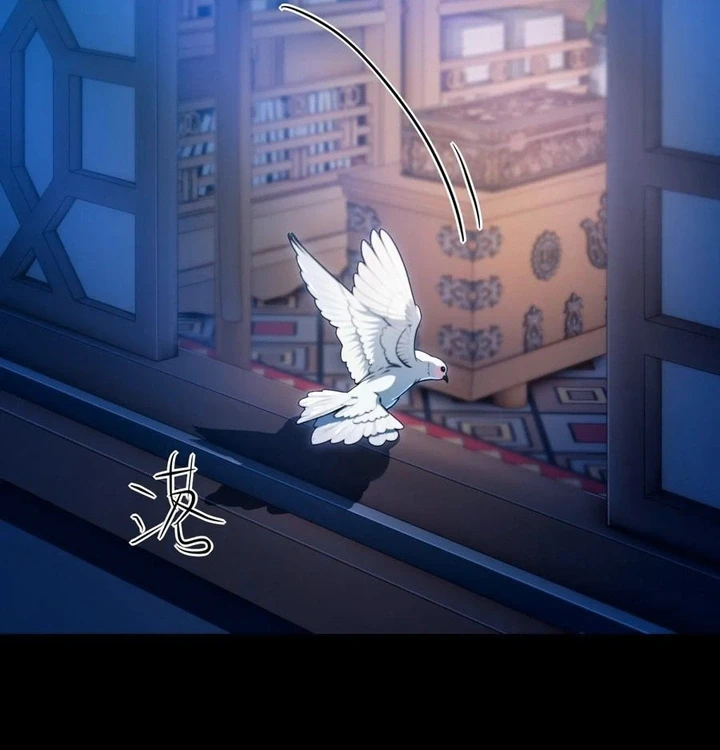 Chapter Image 63