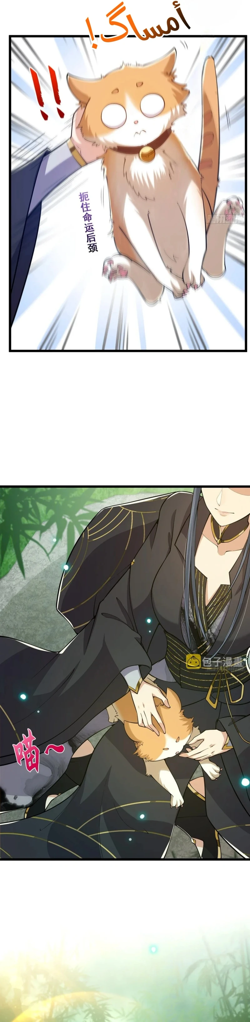 Chapter Image 13