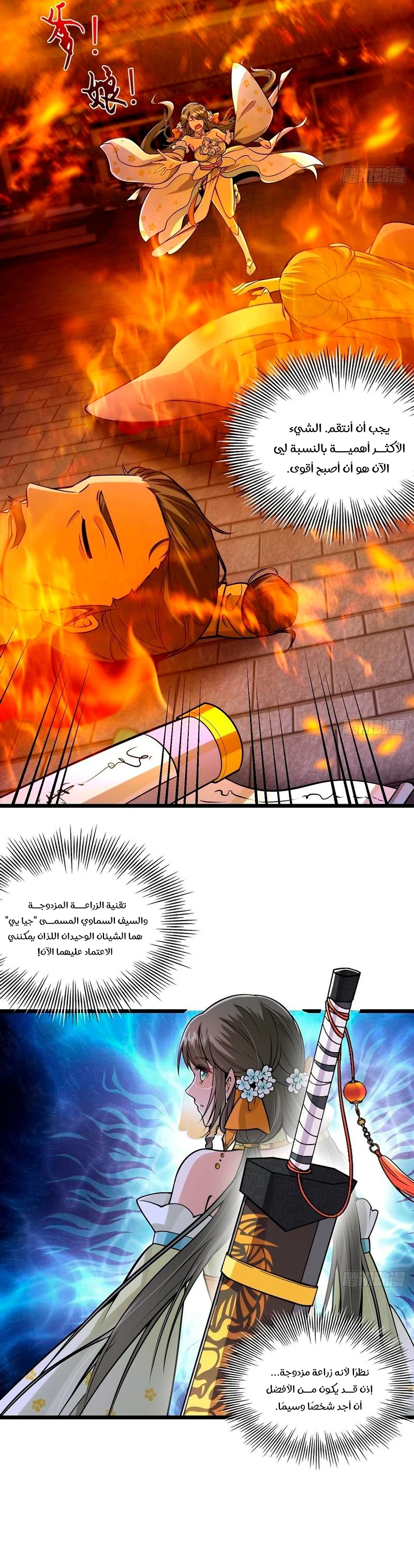 Chapter Image 5